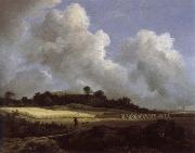 Jacob van Ruisdael View of Grainfields with a Distant town oil painting artist